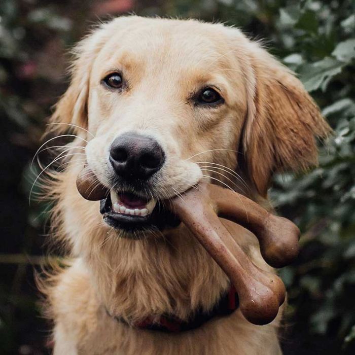 whisbone_bacon_4
