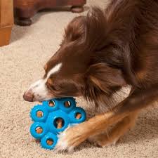 kong-quest-star-pods-dog-toy-521842_300x