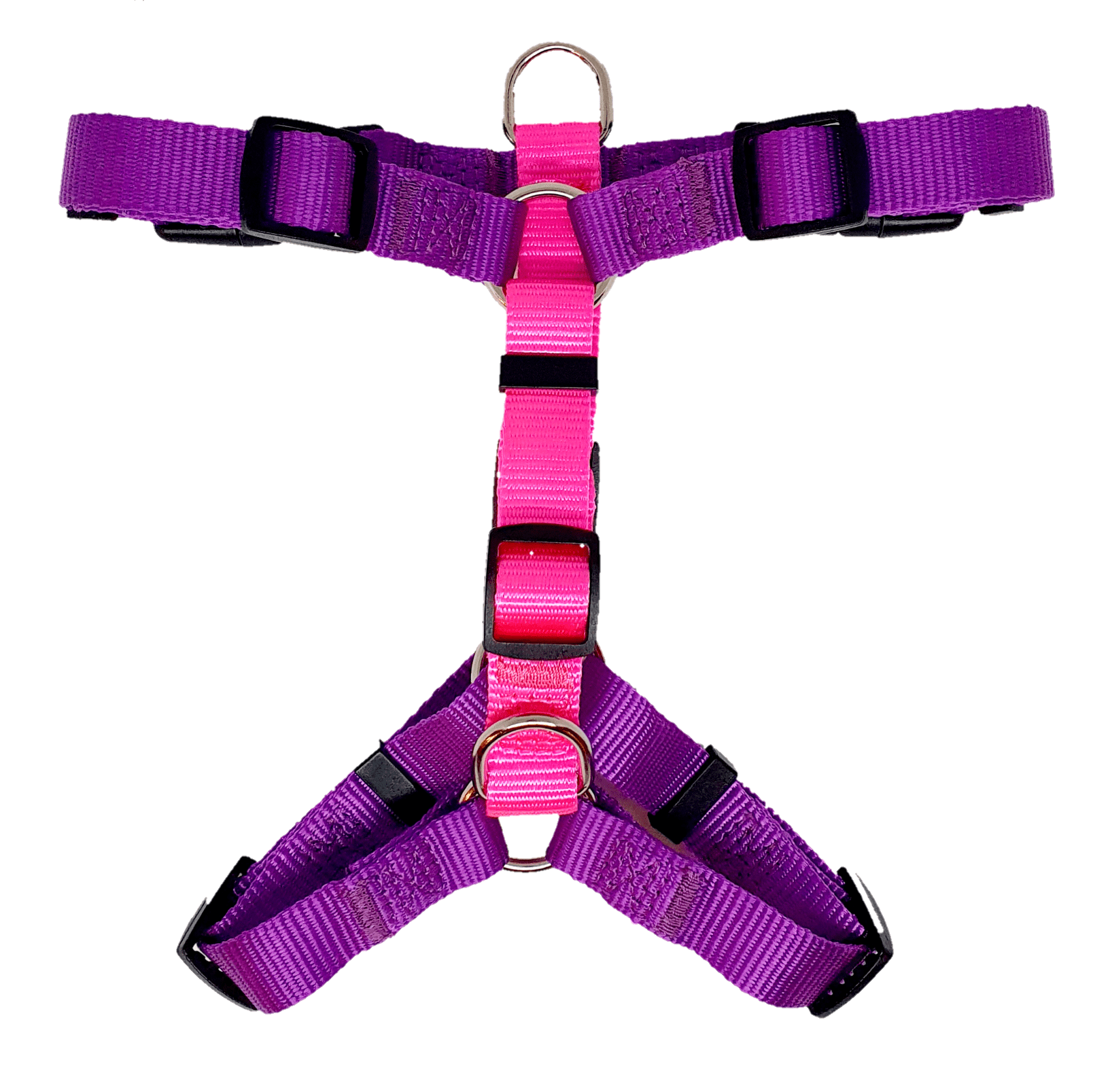 arnes mascoideas morado s2