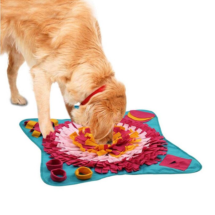 4281