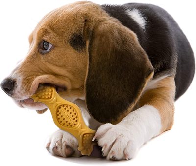 Nylabone-Power-Chew-Peanut-Butter-Fill-4