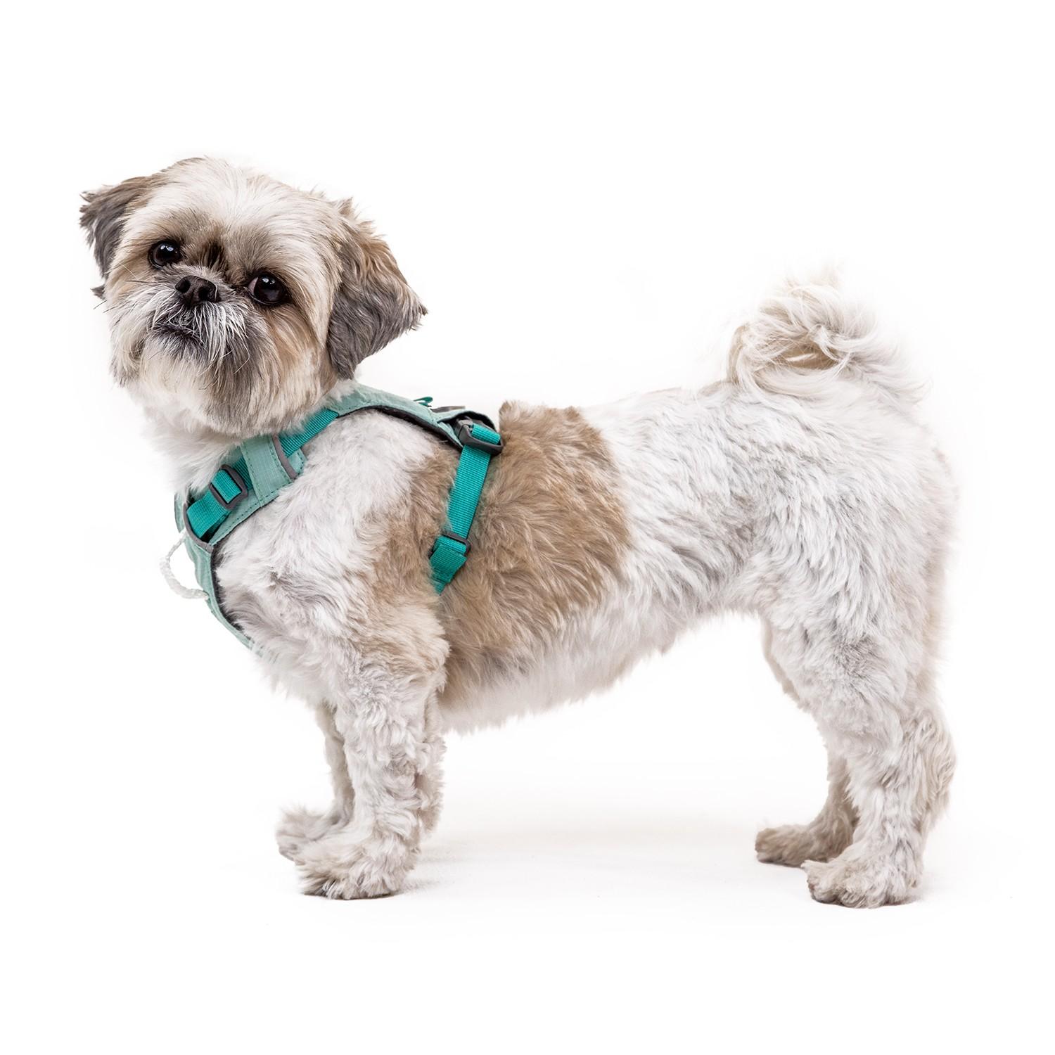 ruffwear-hi-light-dog-harness-blue-dusk-8877