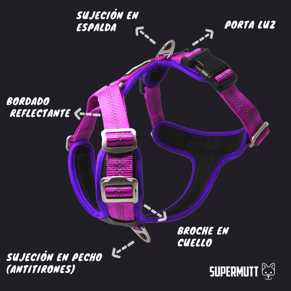 CARACTERISTICAS-ARNES-SUPERMUTT